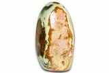 Free-Standing Polished Polychrome Jasper - Madagascar #360479-1
